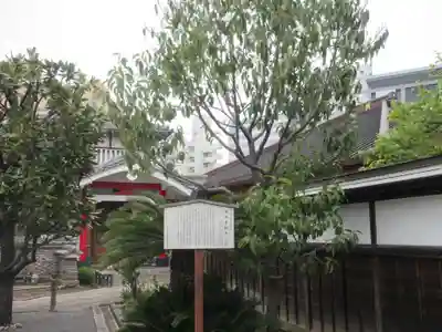 海徳寺(東京都)