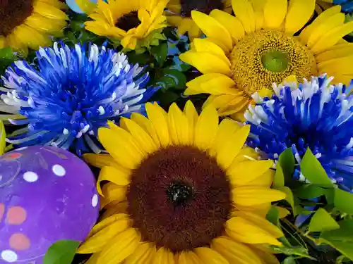豊景神社の手水舎
