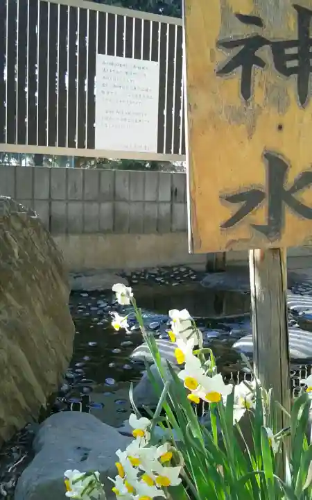 鳩ヶ谷氷川神社(埼玉県)