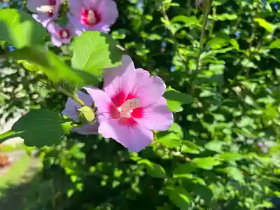 秩父札所十三番 慈眼寺(埼玉県)