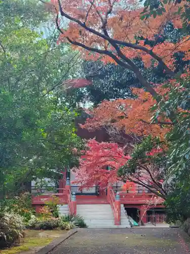 大光院 新田寺の自然