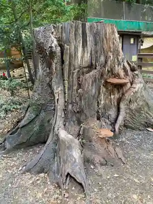 小金井神社(東京都)