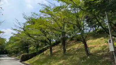 大林寺(兵庫県)