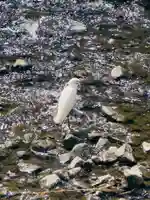 松尾神社(神奈川県)