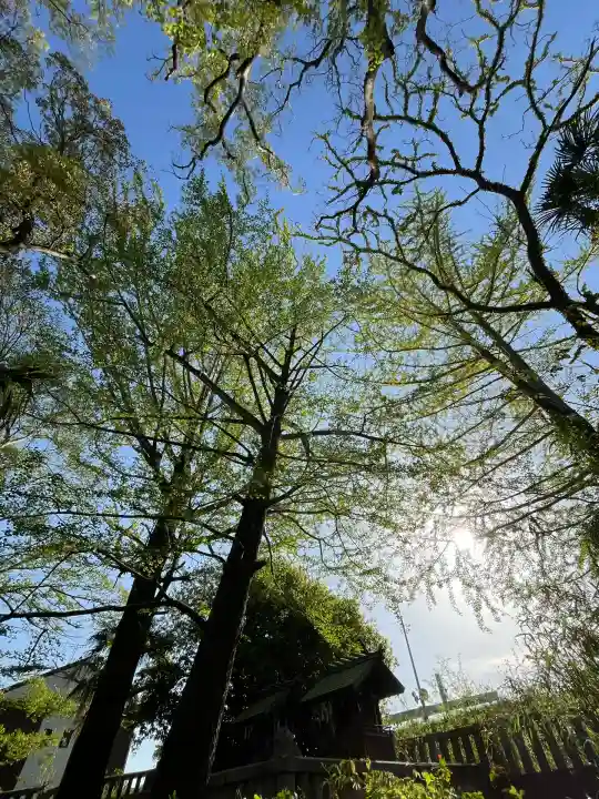 若宮神明社(愛知県)
