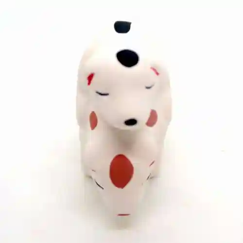 住吉大社のおみくじ