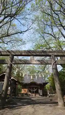 相馬神社の鳥居