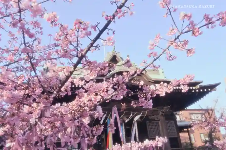 桜神宮の自然