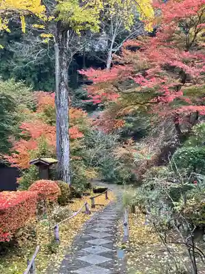 秩父札所三十二番　法性寺(埼玉県)