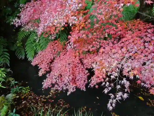 杉本寺(神奈川県)