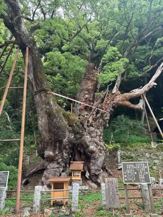 葛見神社(静岡県)