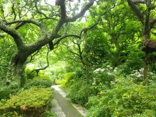 瑞泉寺の庭園