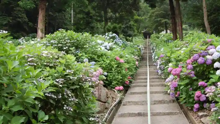 吉備津神社の自然