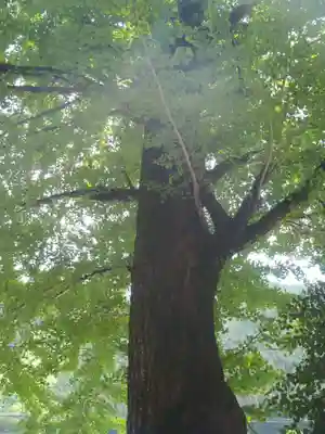 漆原神社(岐阜県)