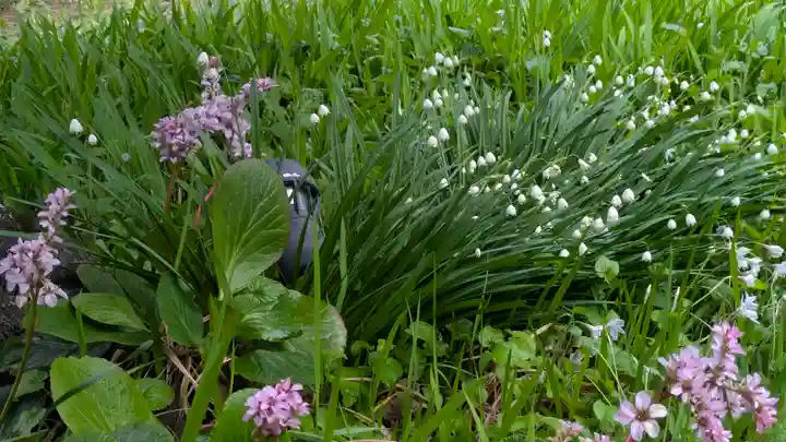 得浄明院(善光寺別院)(京都府)