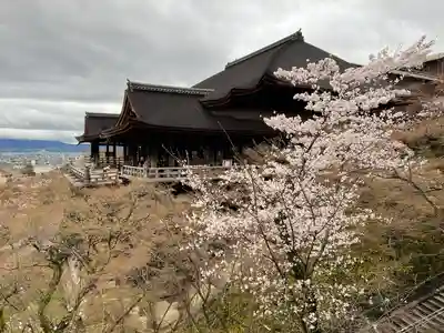 清水寺(京都府)