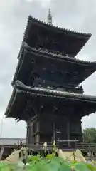 餘慶寺の建物その他