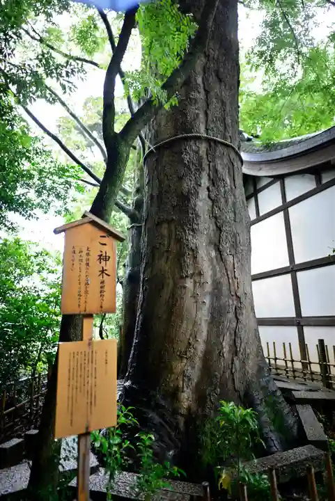 川越氷川神社の自然