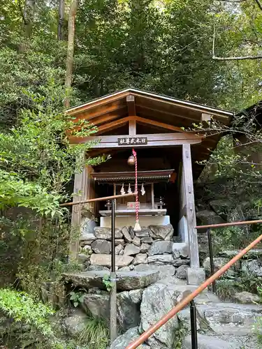 宝登山神社(埼玉県)