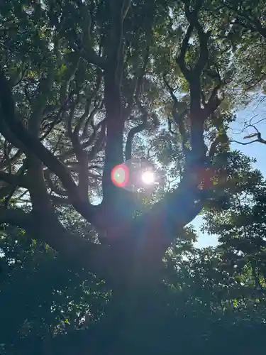 酒列磯前神社(茨城県)