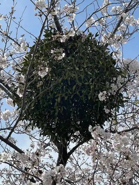 菟足神社(愛知県)