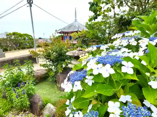 宝塔寺の庭園