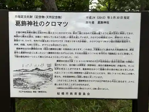 葛飾神社(千葉県)