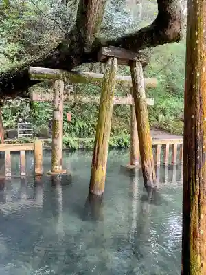 鹿島神宮(茨城県)