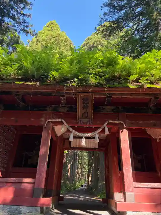 戸隠神社奥社(長野県)