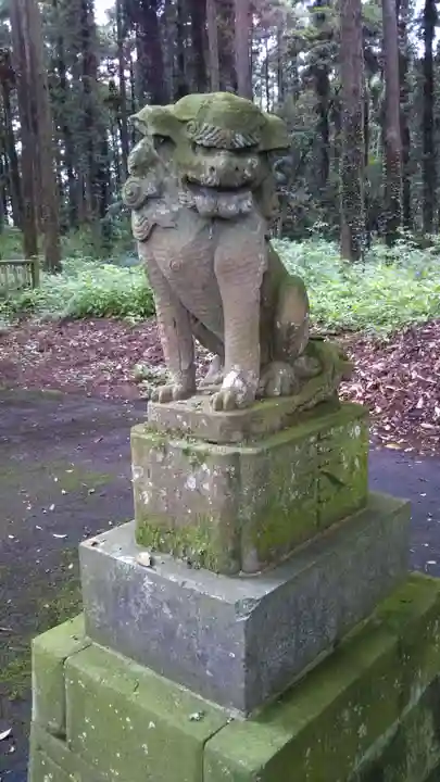 海士部神社の狛犬
