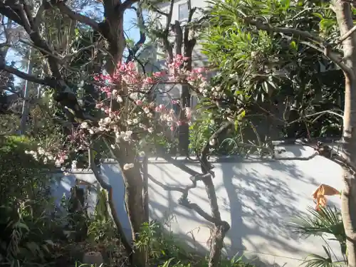 蟠龍寺(東京都)