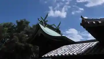 渦浦八幡神社の本殿・本堂