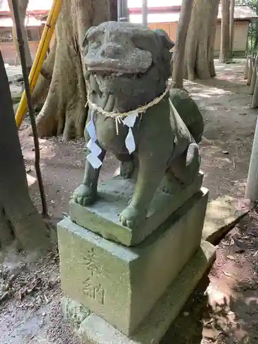 赤城神社の狛犬