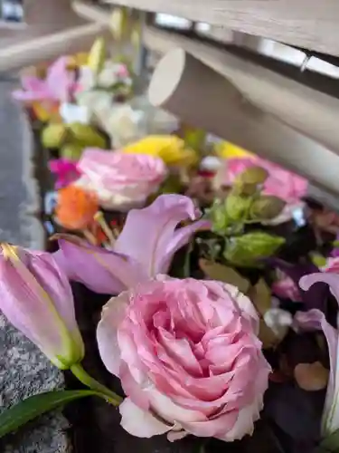 鳩森八幡神社(東京都)
