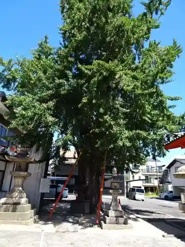 春日神社(岡山県)