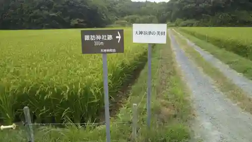諏訪神社跡の周辺