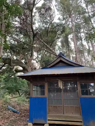 浅間神社の本殿・本堂