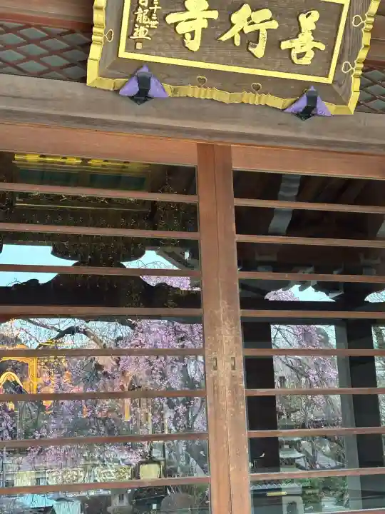 善行寺の{uncategorized: "未分類", other: "その他", undefined: "問題あり", building: "その他建物", grave: "お墓", sacred_gate: "鳥居", guardian: "狛犬", statue: "像", buddha: "仏像", history: "歴史", nature: "自然", garden: "庭園", animal: "動物", pagoda: "塔", temizu: "手水舎", mountain_gate: "山門・神門", sanctuary: "本殿・本堂", subordinate: "末社・摂社", art: "芸術", scenery: "景色", jizo: "地蔵", ema: "絵馬", goshuin: "御朱印", omikuji: "おみくじ", items: "授与品その他", amulet: "お守り", goshuincho: "御朱印帳", eats: "食事", festival: "お祭り", votive_dance: "神楽", shichigosan: "七五三参", wedding: "結婚式", experience: "体験その他", initially: "初詣", around: "周辺", anti_infection: "感染症対策"}