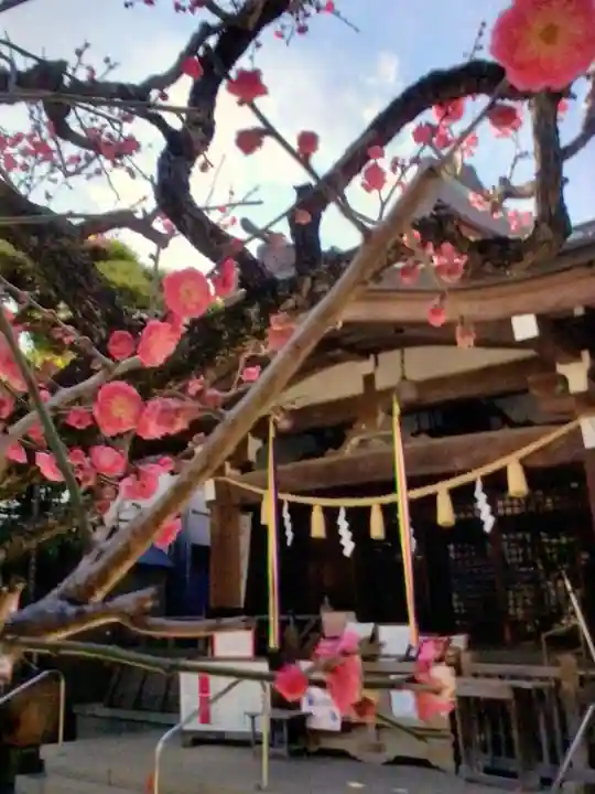 鳩森八幡神社(東京都)