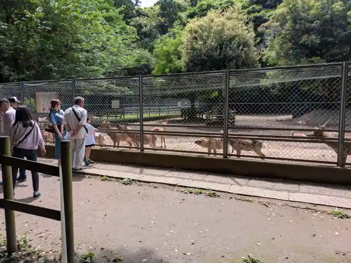 鹿島神宮(茨城県)