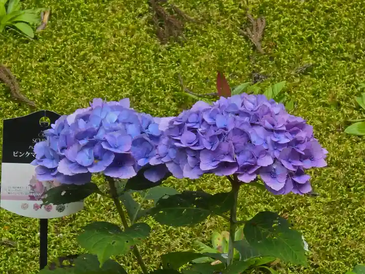 喜見院(滋賀県)