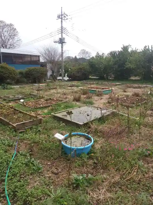 東輪寺(栃木県)