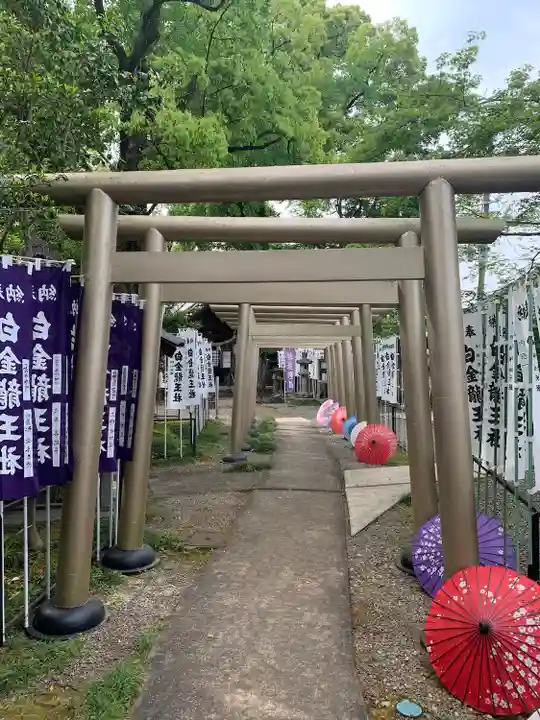 白金龍王社(愛知県)