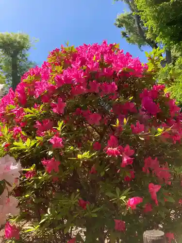 根津神社の自然