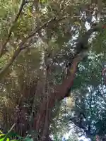 波切不動尊の自然