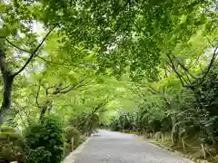 龍安寺(京都府)