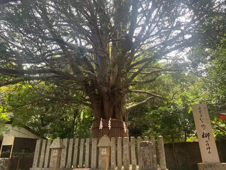 熊野速玉大社の自然