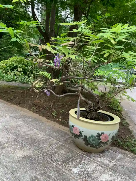 法華寺(神奈川県)