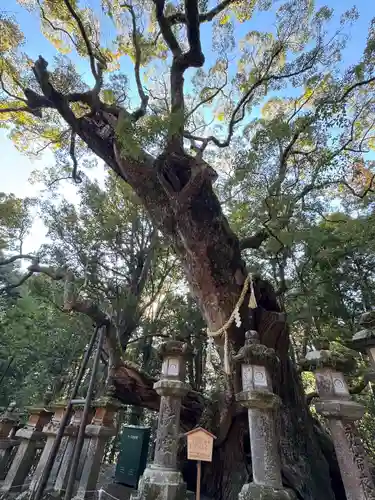 春日大社(奈良県)