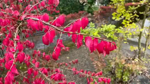 薬王山　東光寺(山形県)